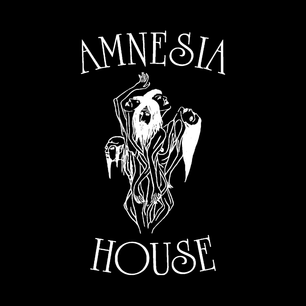 Amnesia House